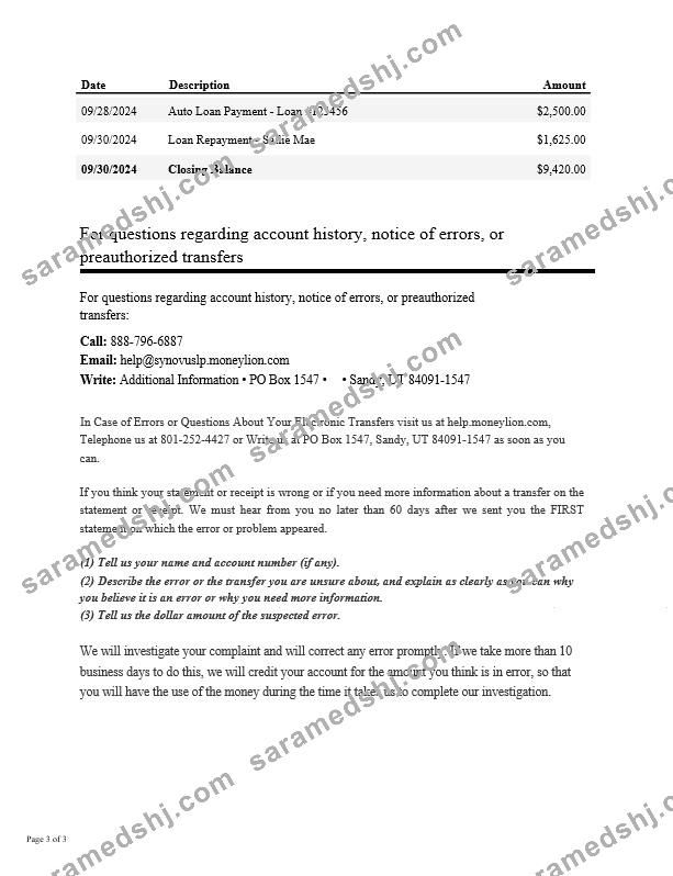 USA Synovus Bank statement Word and PDF template, 3 pages 2